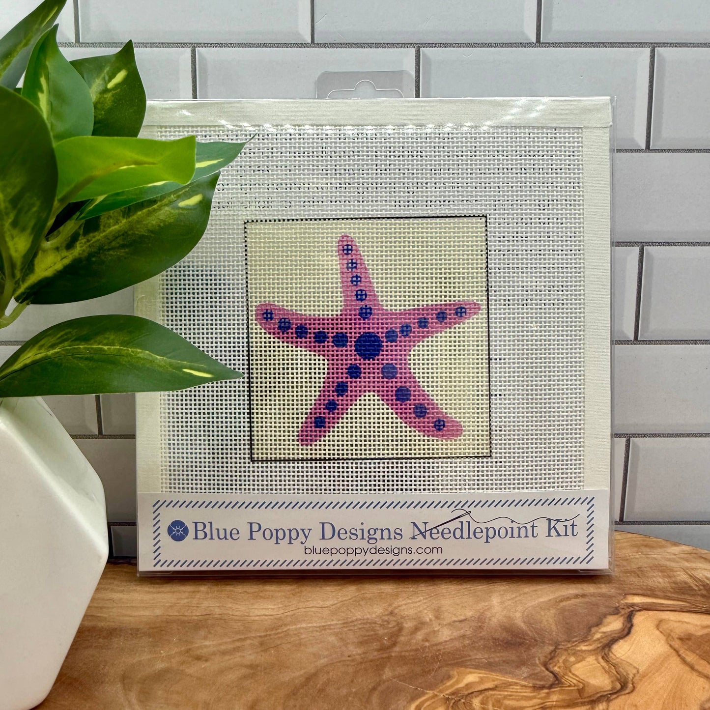Blue Poppy Designs - Starfish Needlepoint Kit