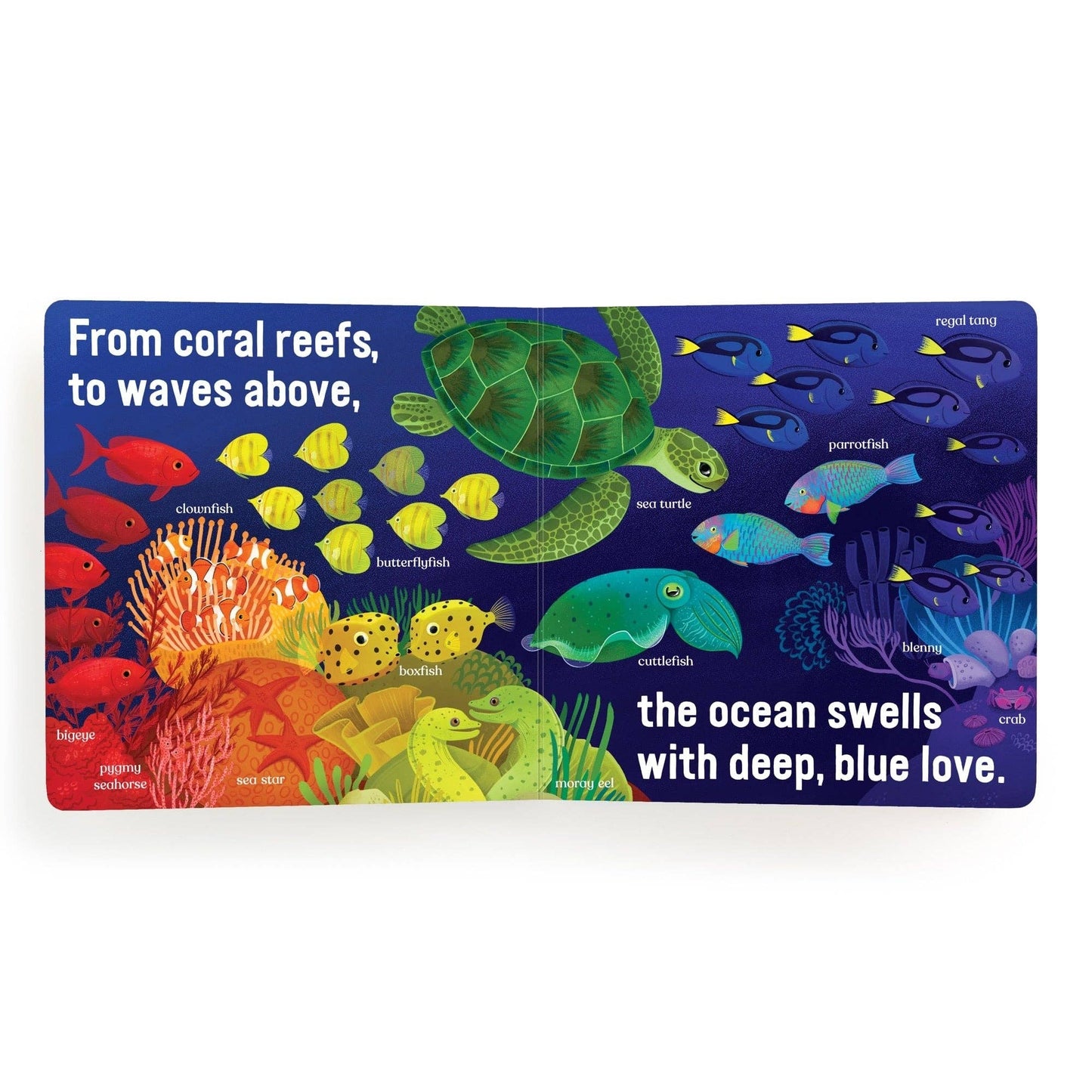 Chronicle Books - Love Under the Sea Board Book