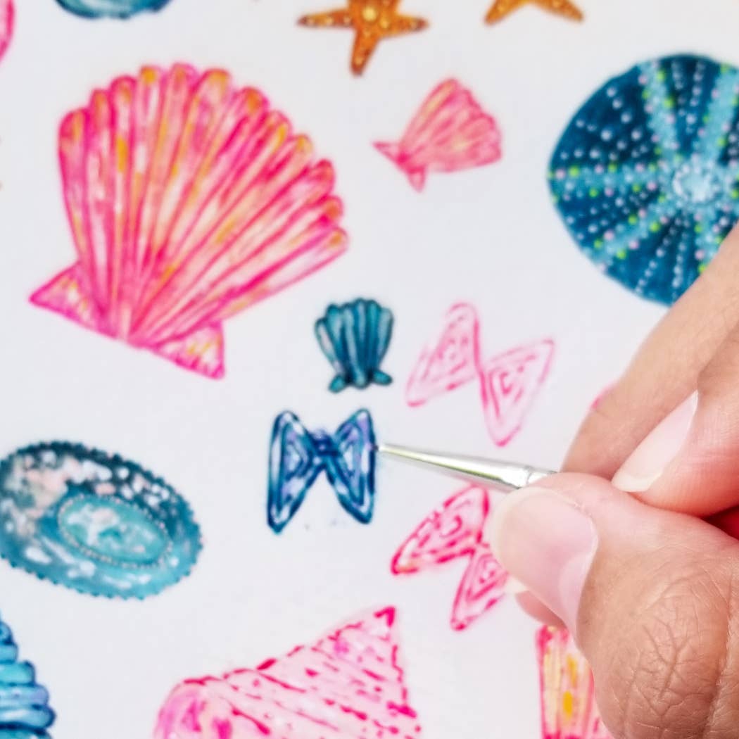 Salty Kai - Seashell Treasures