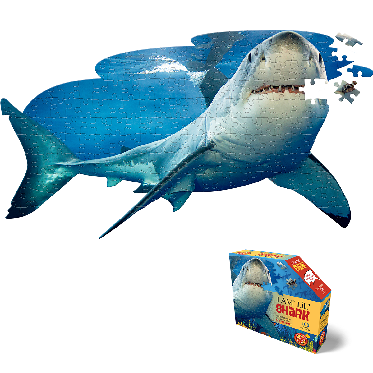Madd Capp - Lil Shark