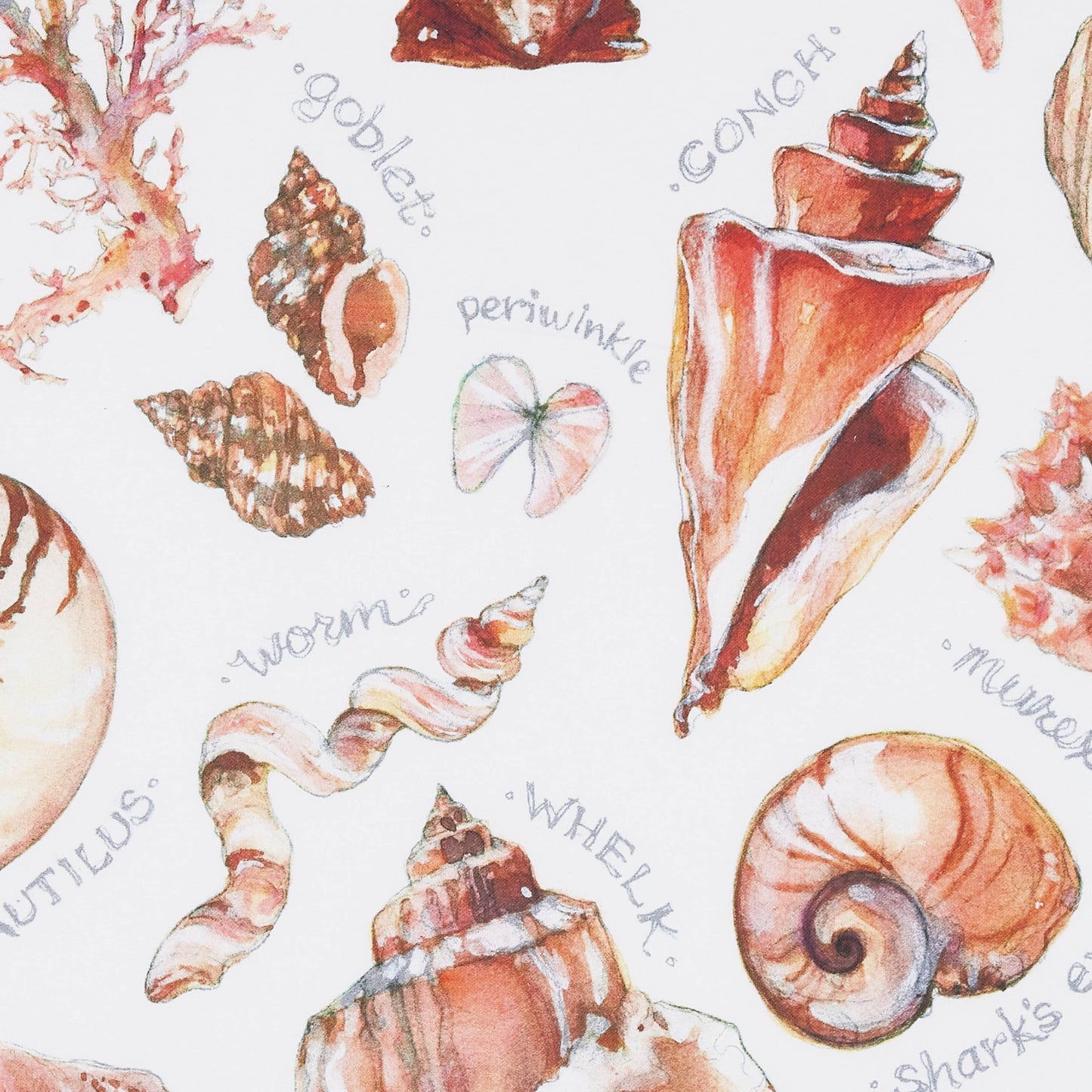 Peking Handicraft- SEASHELLS Kitchen Towel