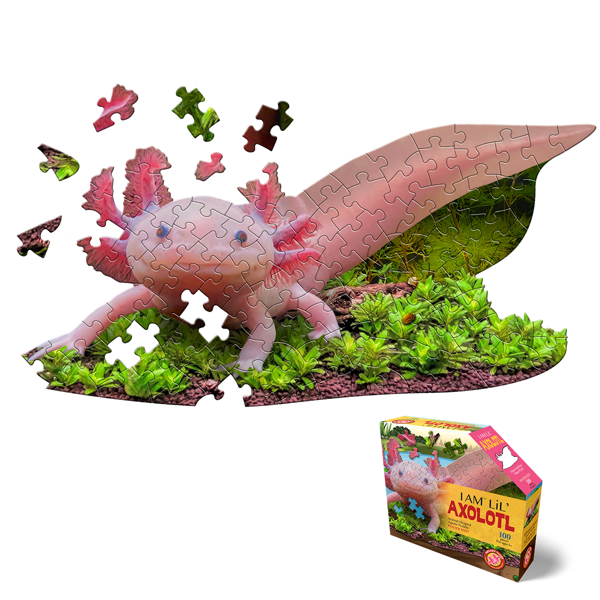 Madd Capp - Lil Axolotl