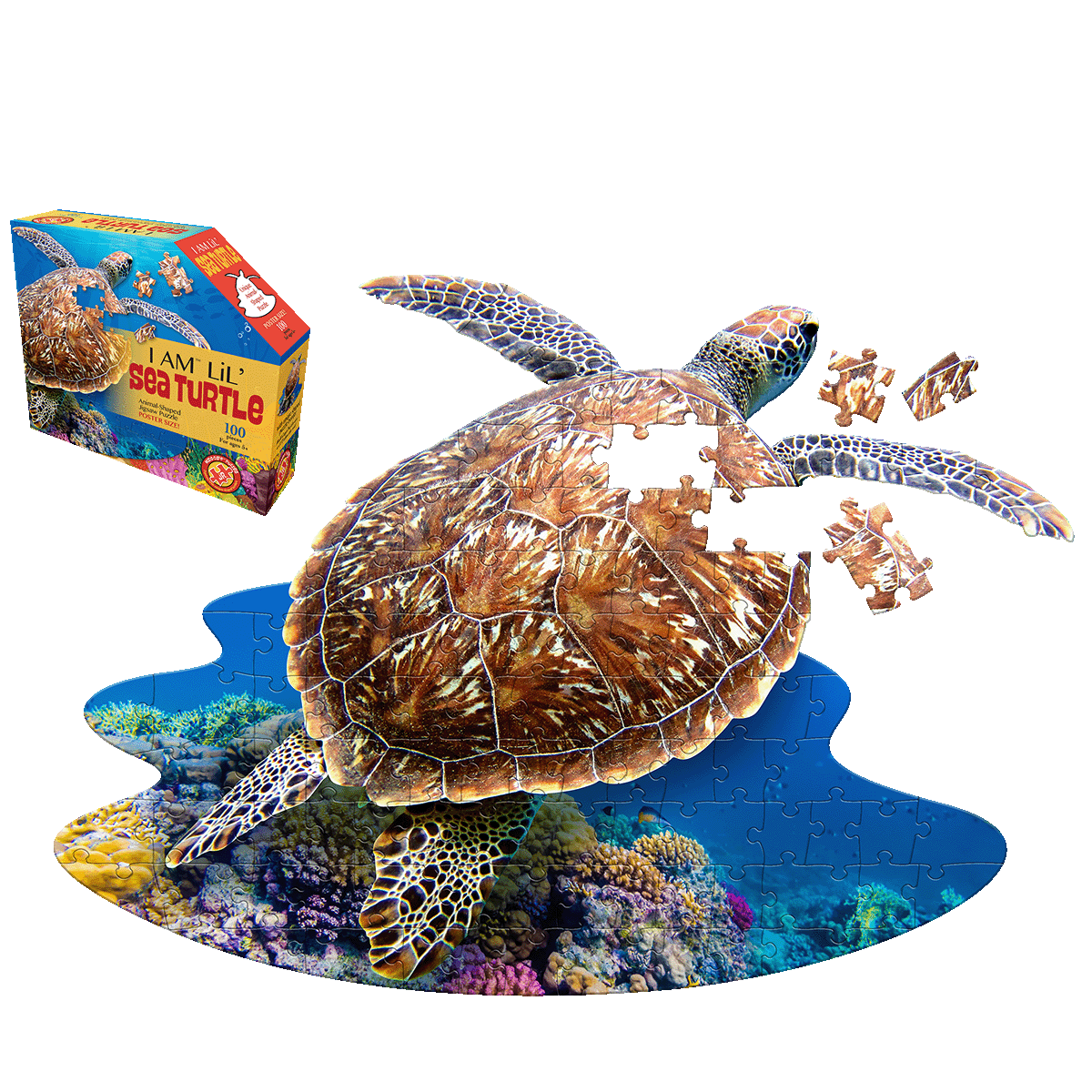 Madd Capp - Lil Sea Turtle