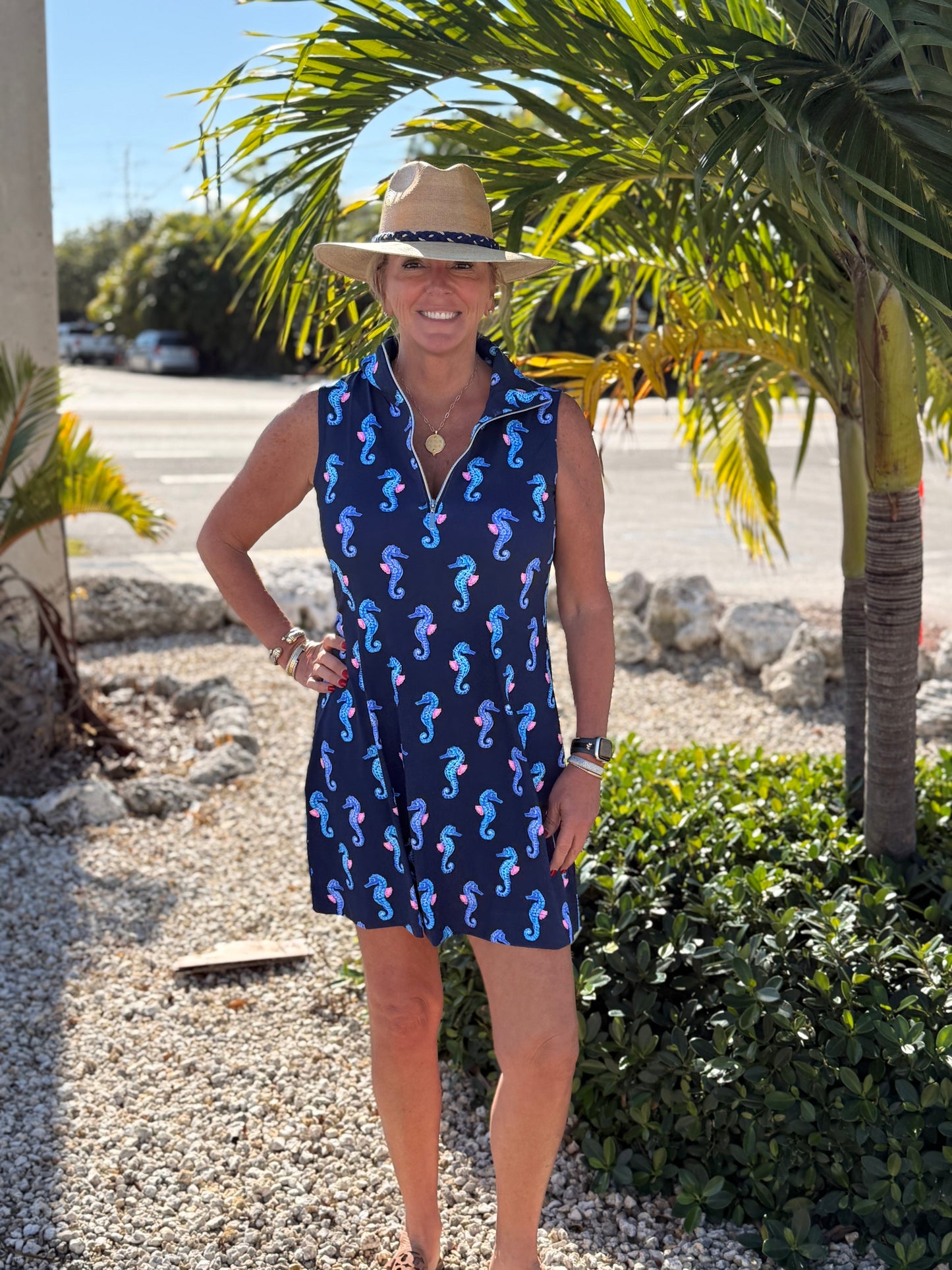 Seahorse Sleeveless Zip Swing Dress