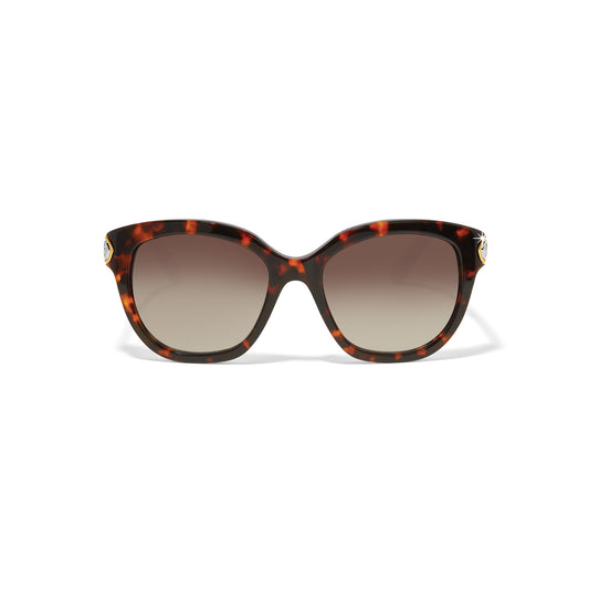 Brighton - Intrigue Amber Tortoise Sunglasses - A13367