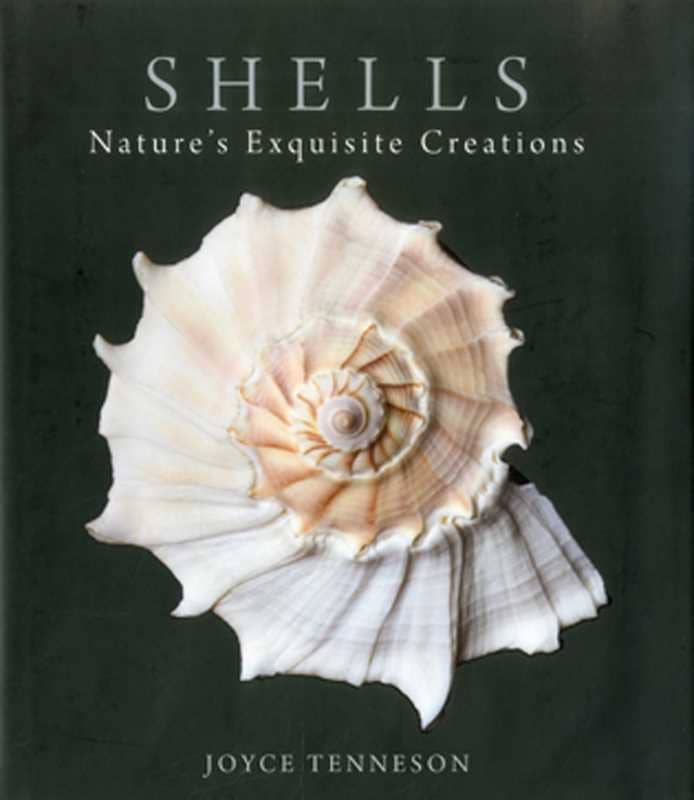Simon & Schuster - Shells by Joyce Tenneson
