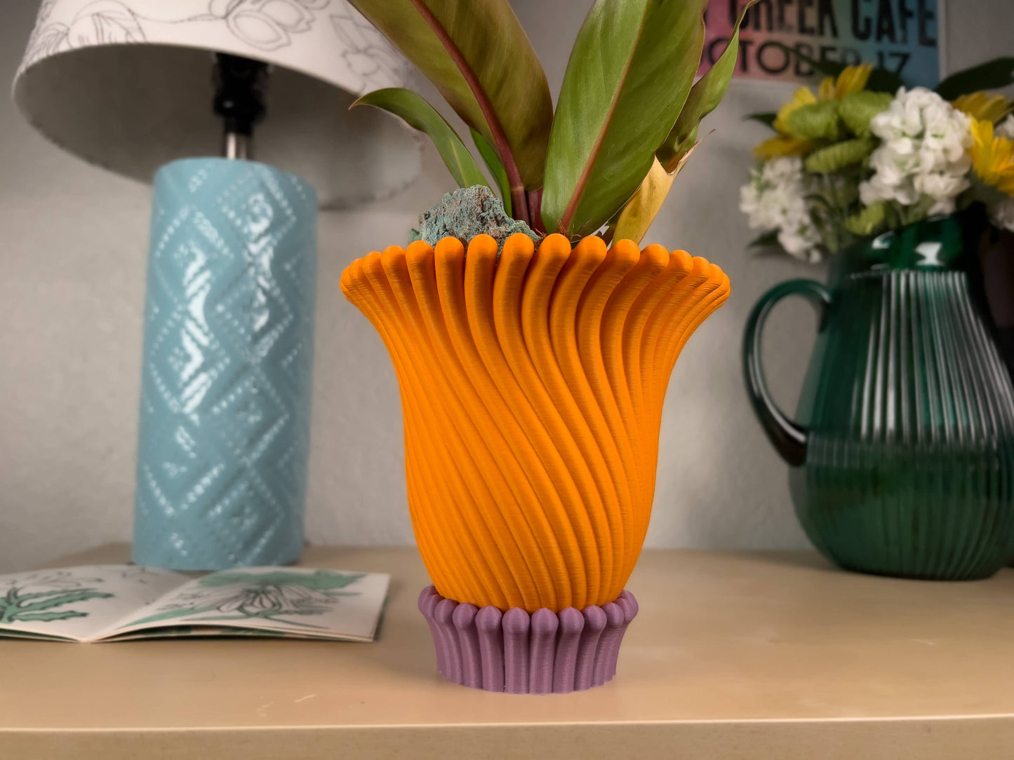 Anemone Planters - 3 and 4 Inch (6 Beautiful Colors!)