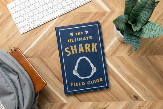 HarperCollins Focus - Ultimate Shark Field Guide Illustrated by Csotonyi