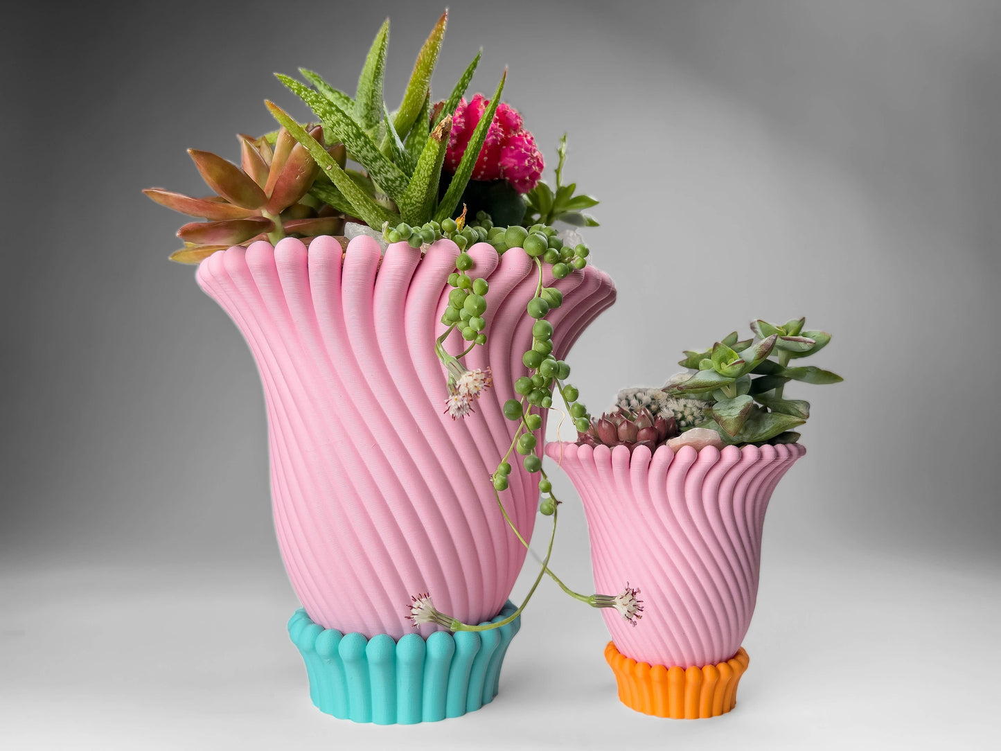 Anemone Planters - 3 and 4 Inch (6 Beautiful Colors!)
