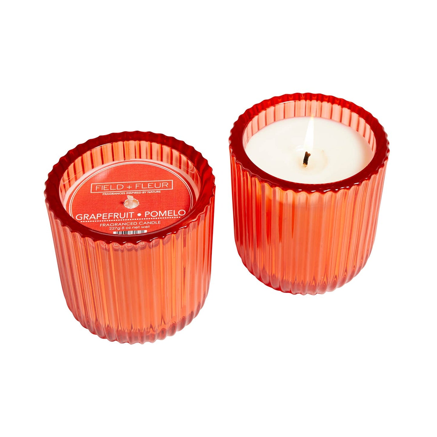 Hillhouse Naturals/Field+Fleur - Grapefruit Pomelo 1 Wick Colored Glass Candle 8oz Ctn.6