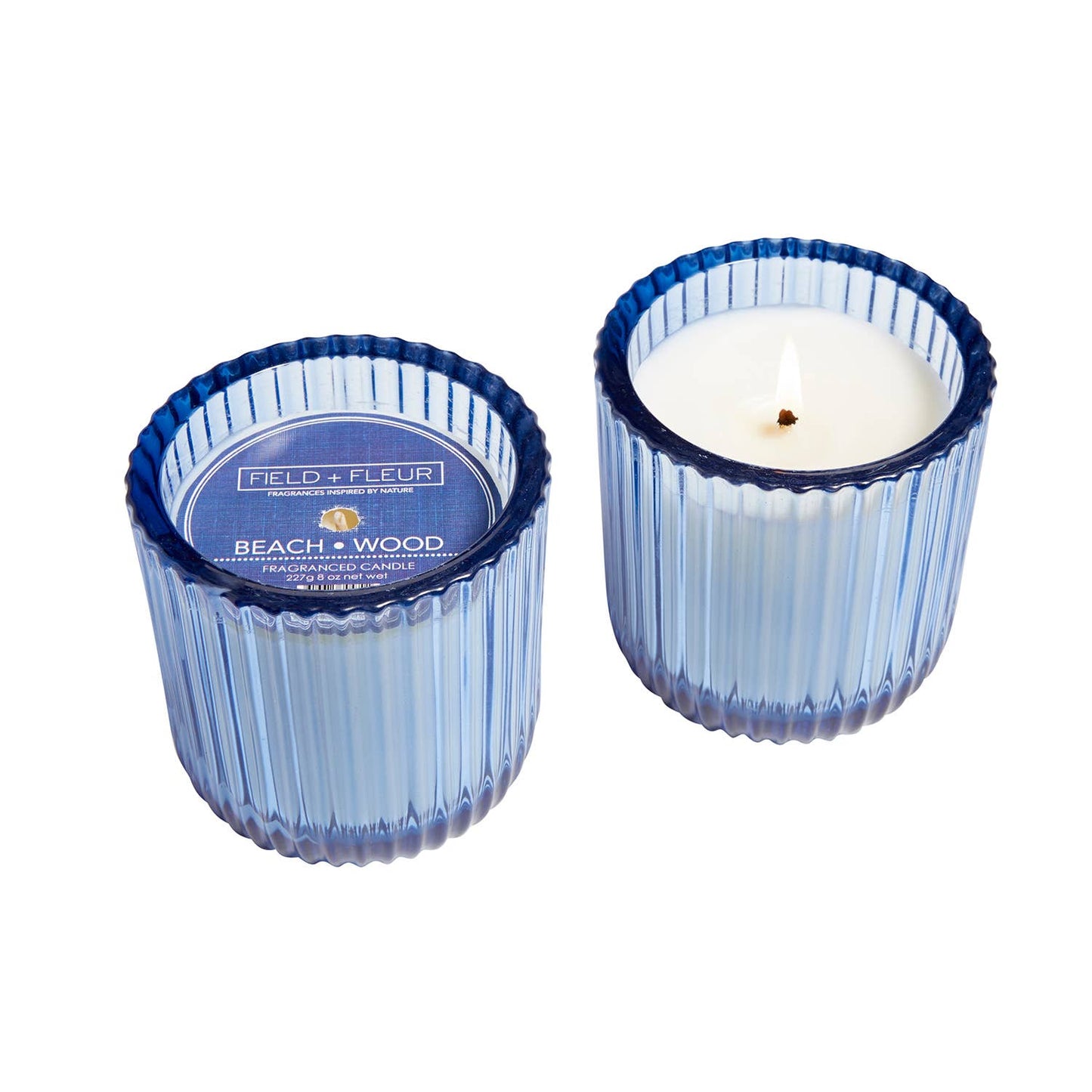 Hillhouse Naturals/Field+Fleur - Beach Wood 1 Wick Colored Glass Candle 8oz Ctn.6