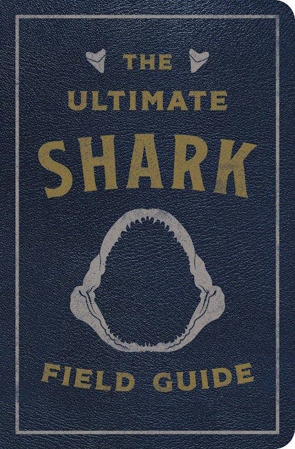 HarperCollins Focus - Ultimate Shark Field Guide Illustrated by Csotonyi