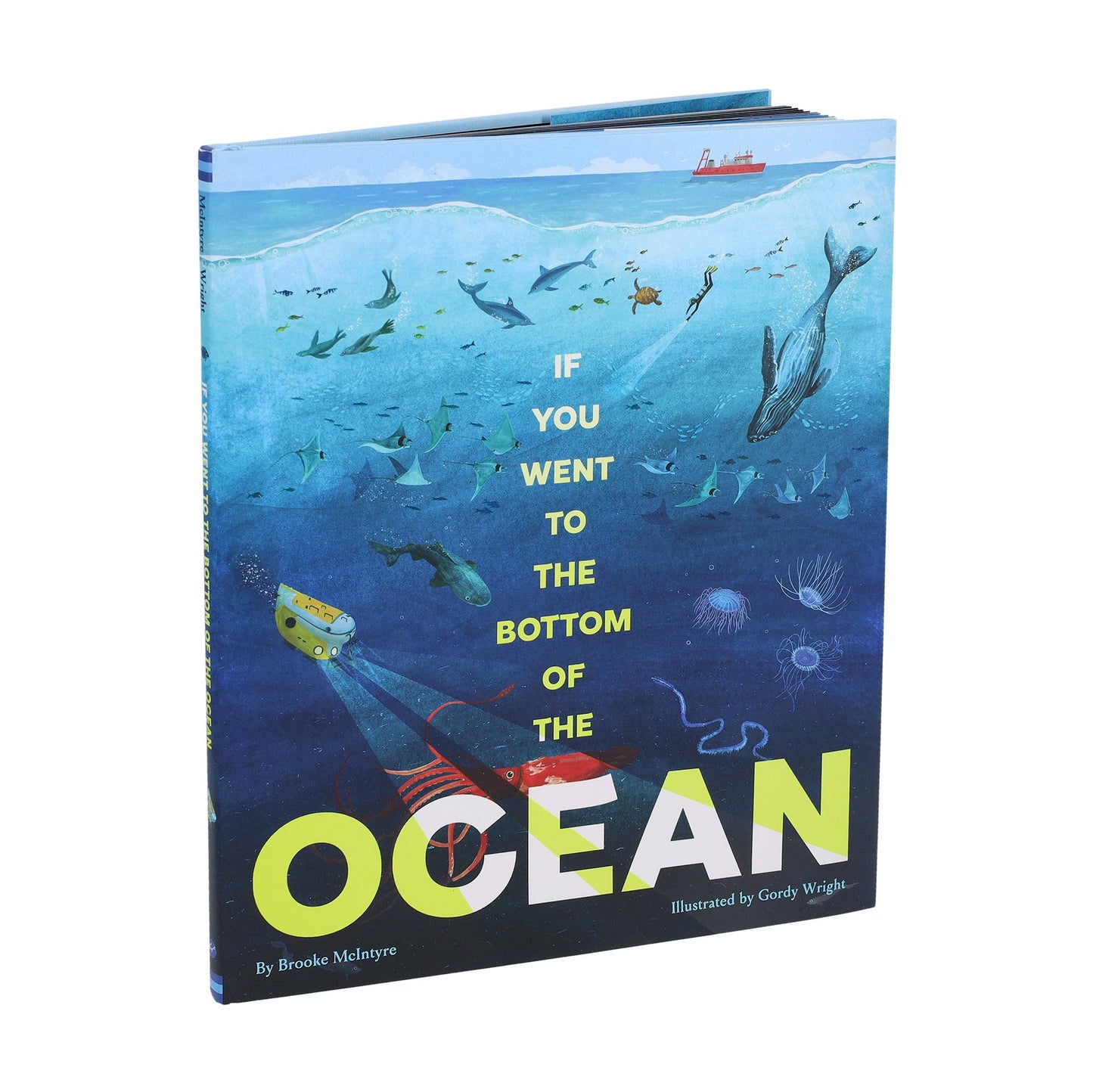 Chronicle Books - If You Went to the Bottom of the Ocean
