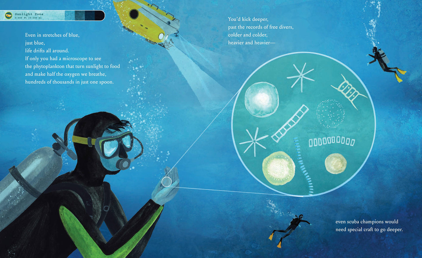 Chronicle Books - If You Went to the Bottom of the Ocean
