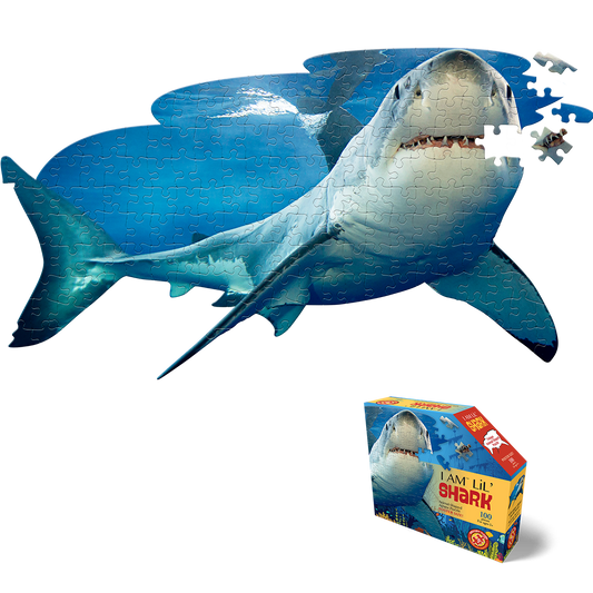 Madd Capp - Lil Shark