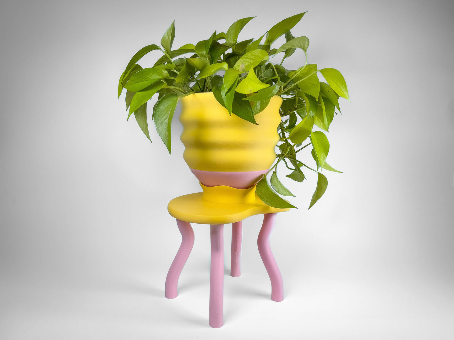 Strawberry Lemonade Indoor Plant Stand - Fun & Whimsical