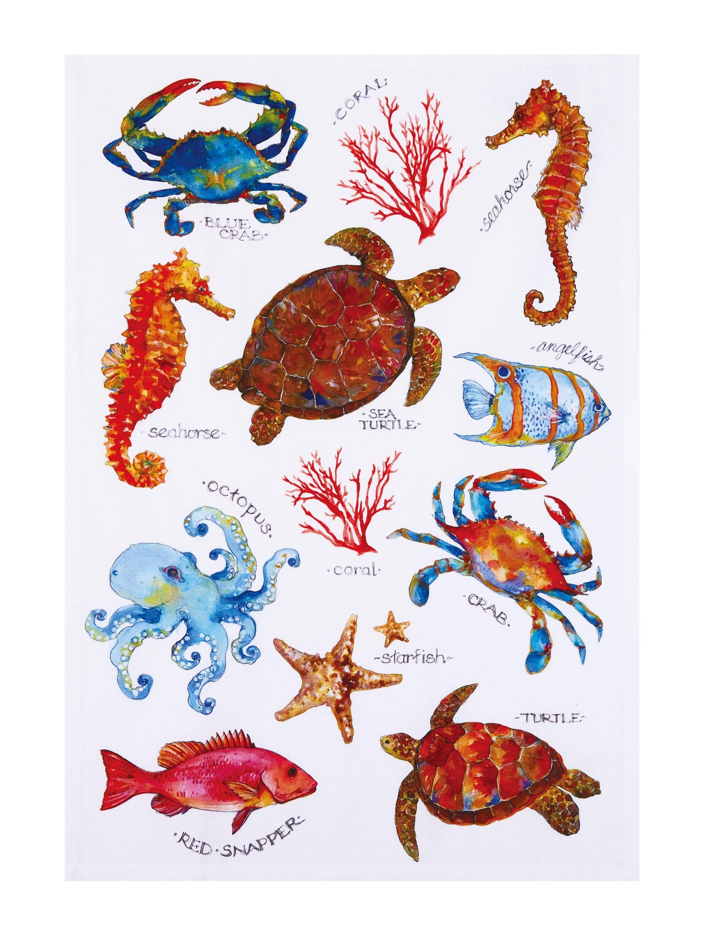 Peking Handicraft- Field Guide Sealife Kitchen Towel