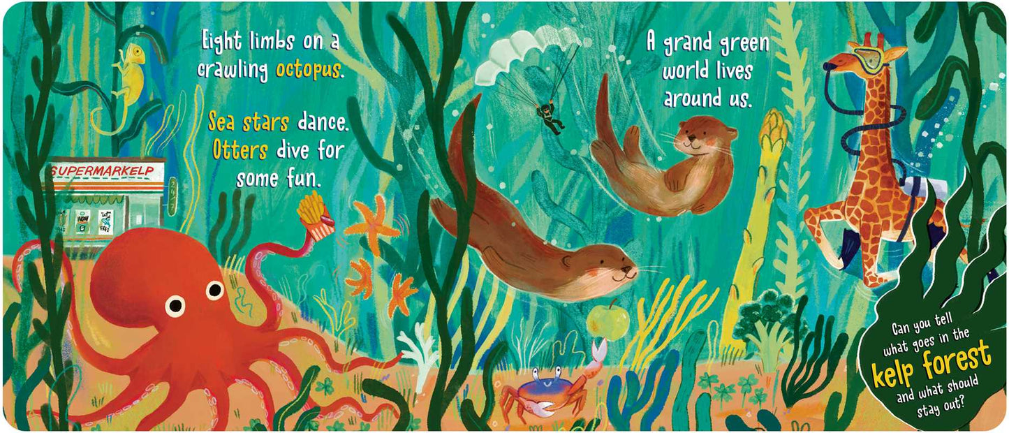Simon & Schuster - What Goes in the Ocean? by Dori Elys