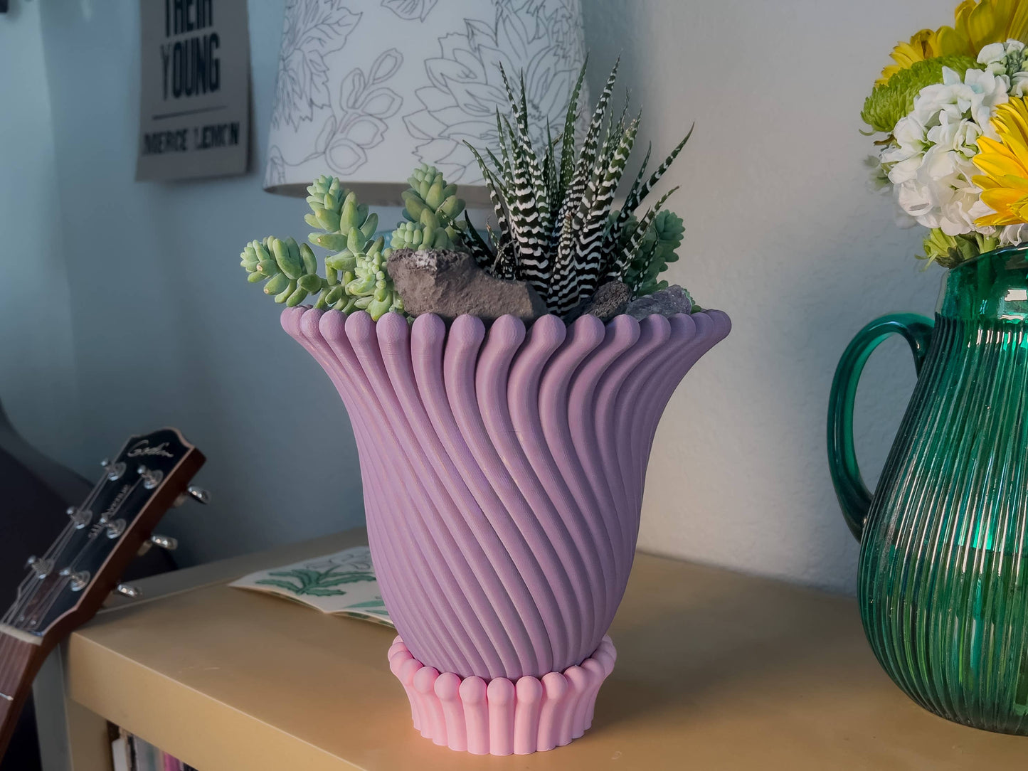 Anemone Planters - 5 and 6 Inch (6 Beautiful Colors!)