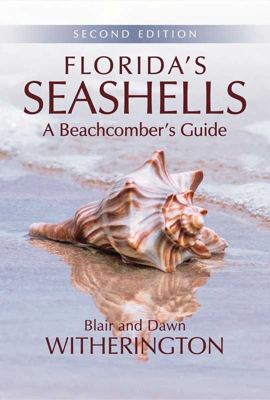 Simon & Schuster - Florida's Seashells by Blair Witherington
