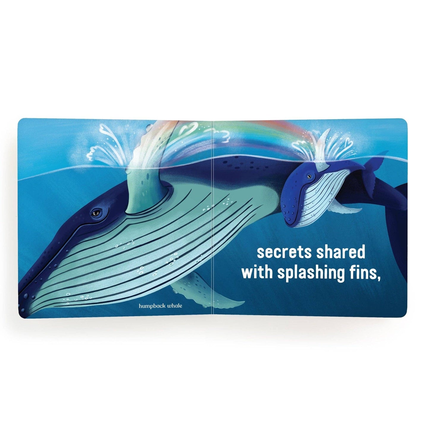 Chronicle Books - Love Under the Sea Board Book