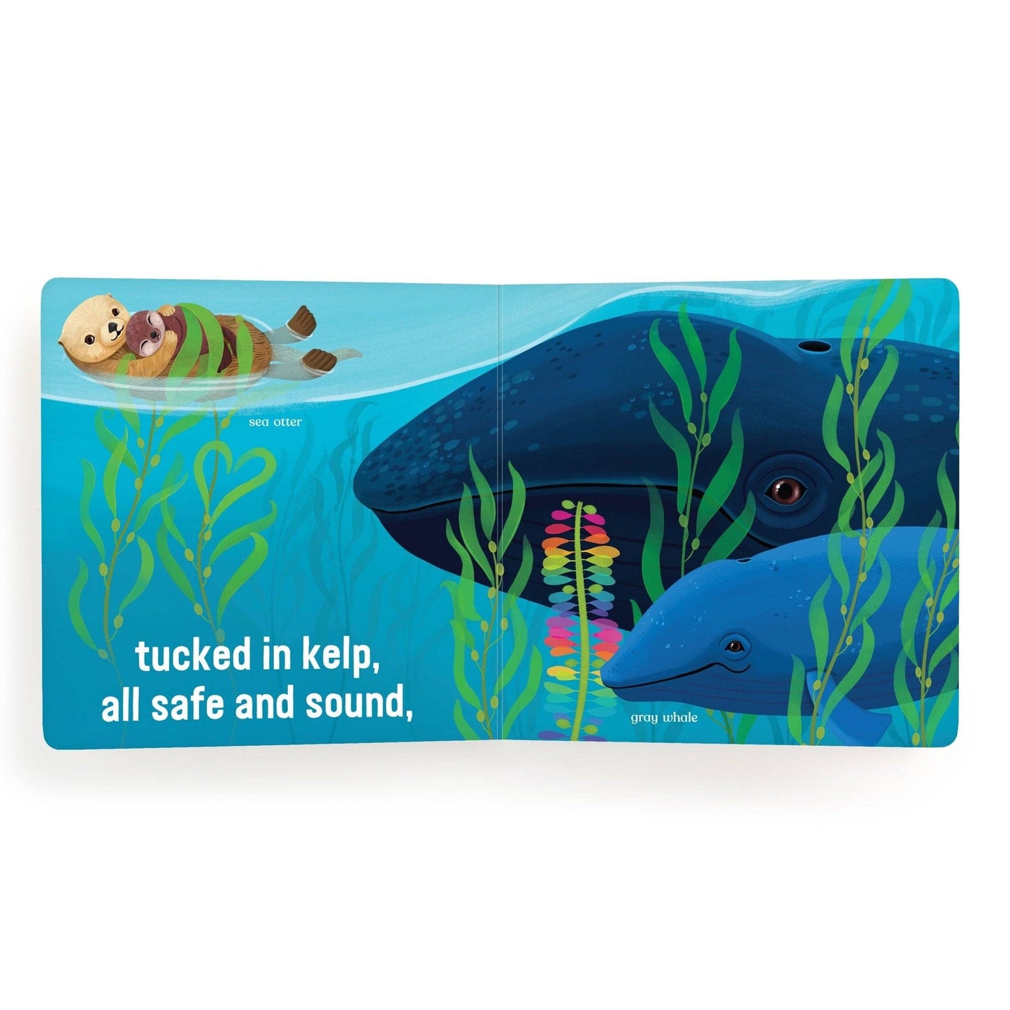 Chronicle Books - Love Under the Sea Board Book