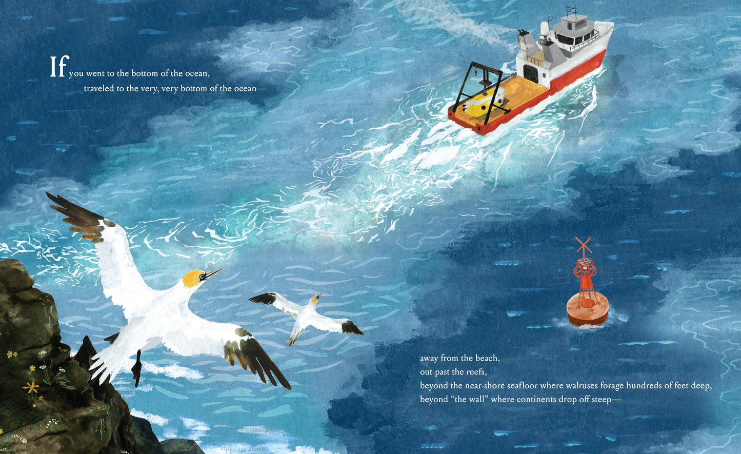 Chronicle Books - If You Went to the Bottom of the Ocean