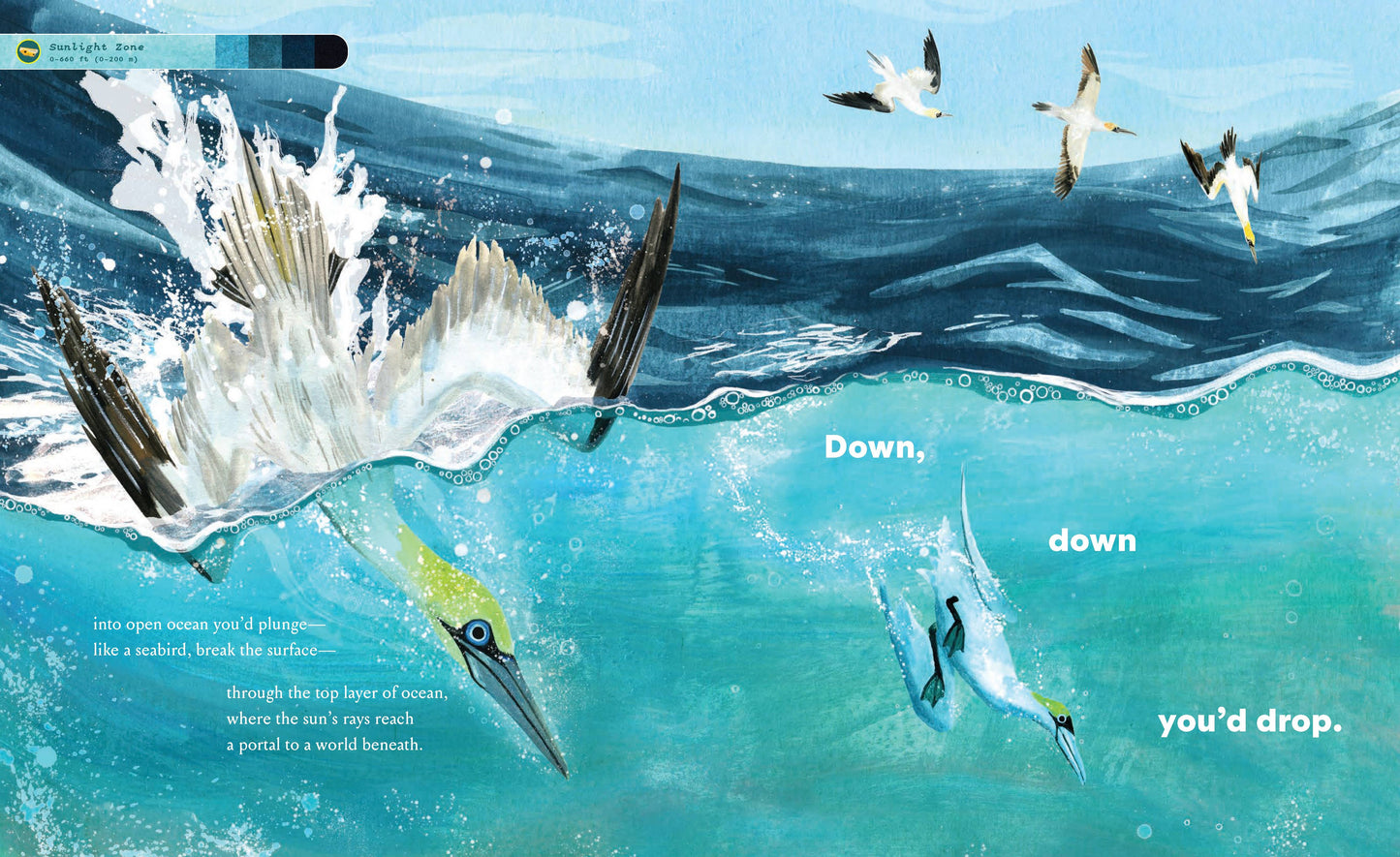 Chronicle Books - If You Went to the Bottom of the Ocean