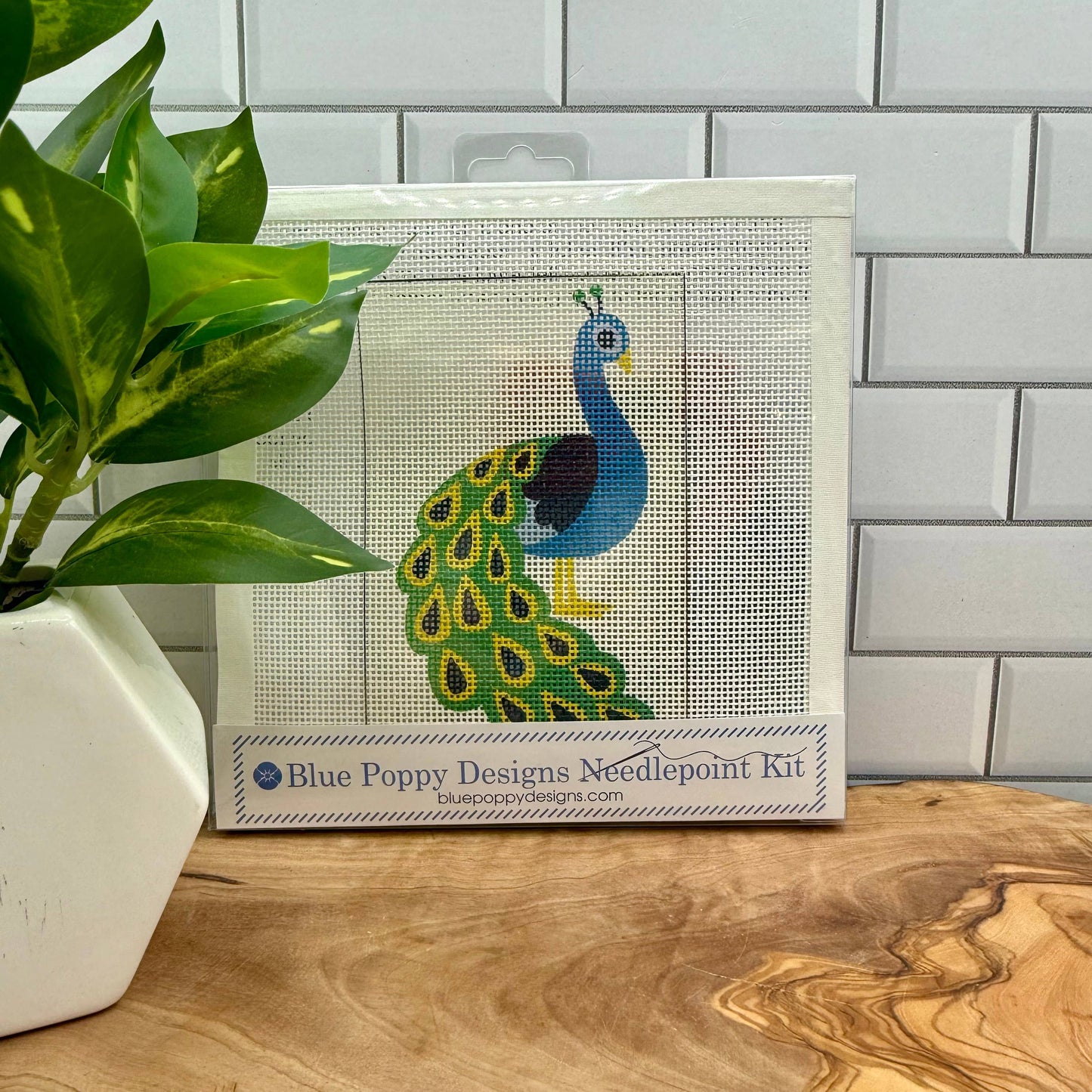 Blue Poppy Designs - Peacock Needlepoint Kit