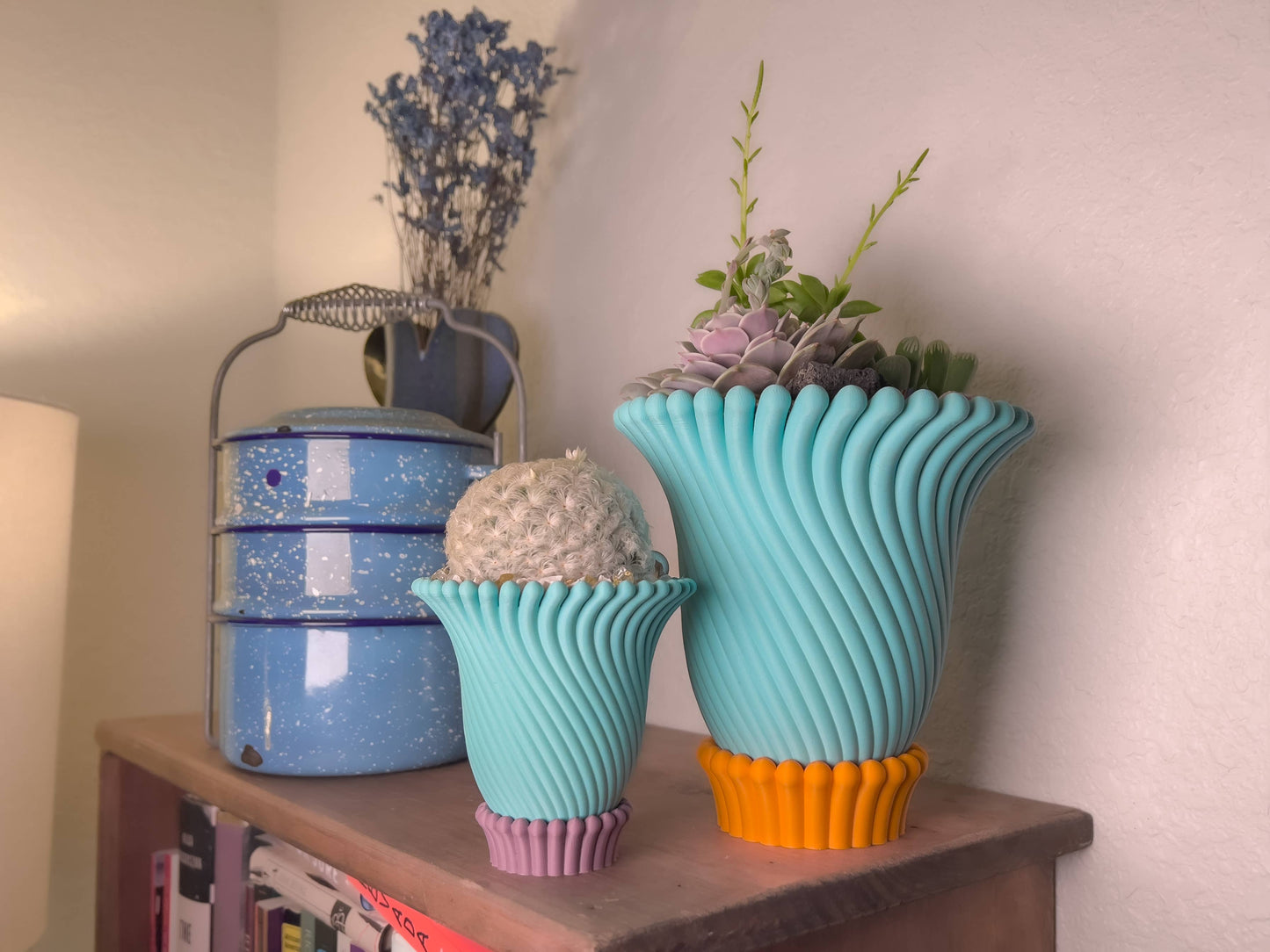 Anemone Planters - 3 and 4 Inch (6 Beautiful Colors!)