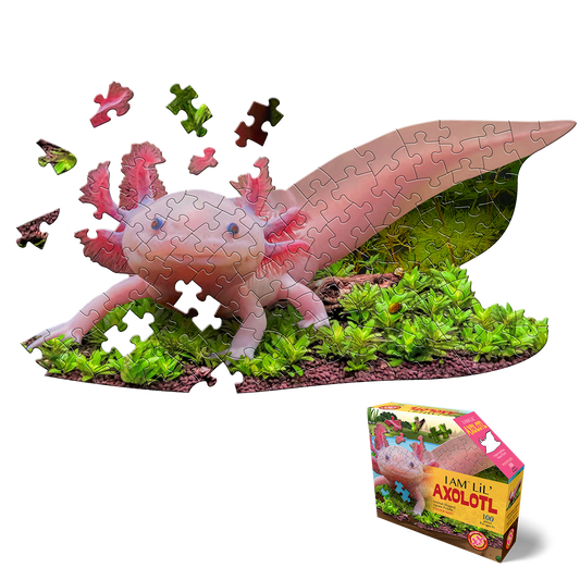 Madd Capp - Lil Axolotl