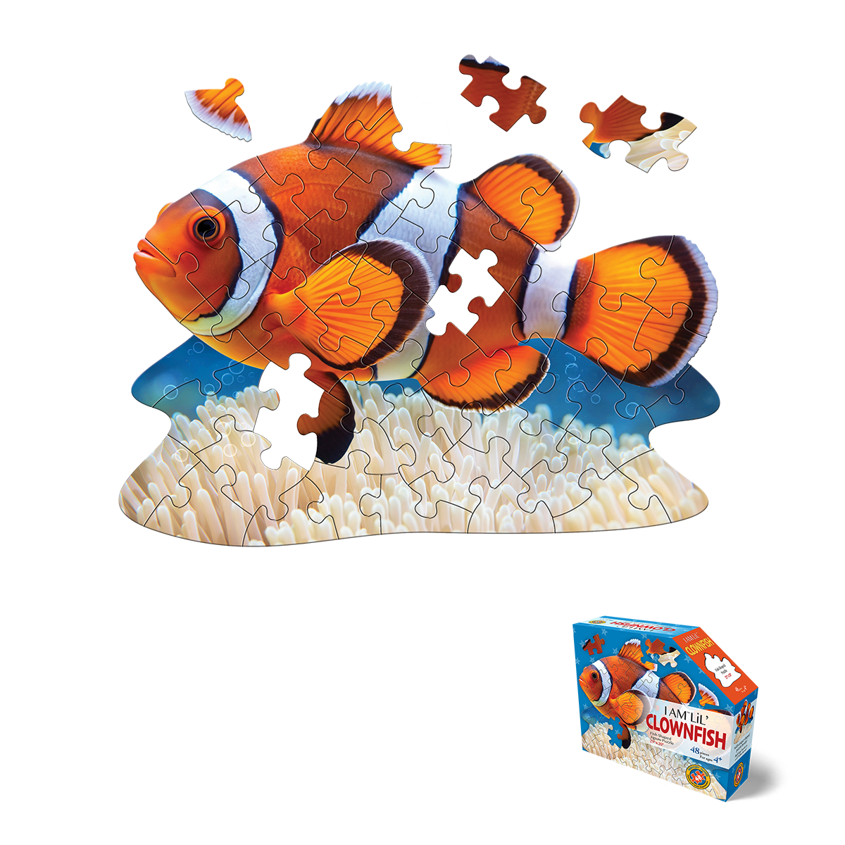 Madd Capp - Lil Clown Fish