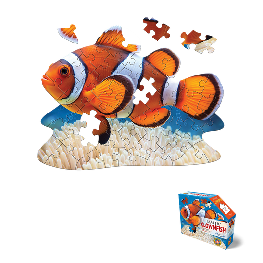 Madd Capp - Lil Clown Fish