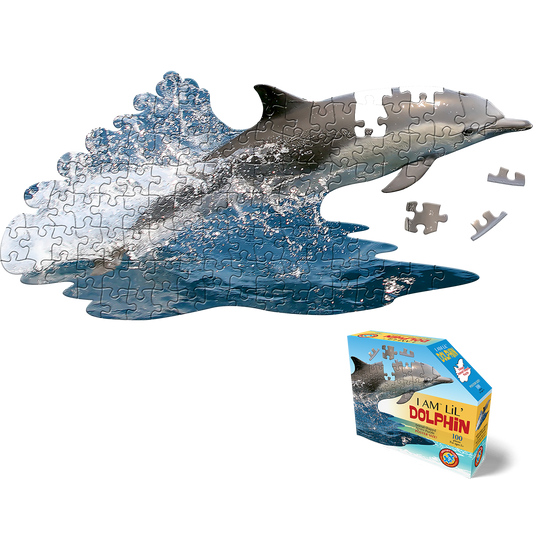 Madd Capp - Lil Dolphin