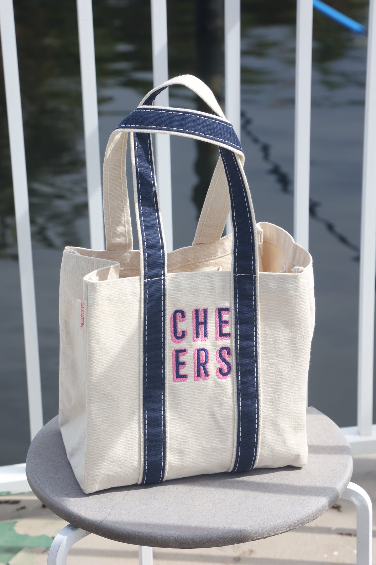 4 Bottle Wine Bag with CHEERS Embroidery
