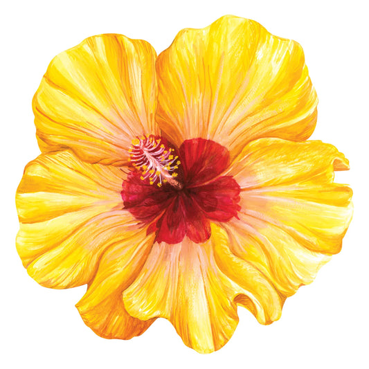 Hester & Cook - Hibiscus - Placemats