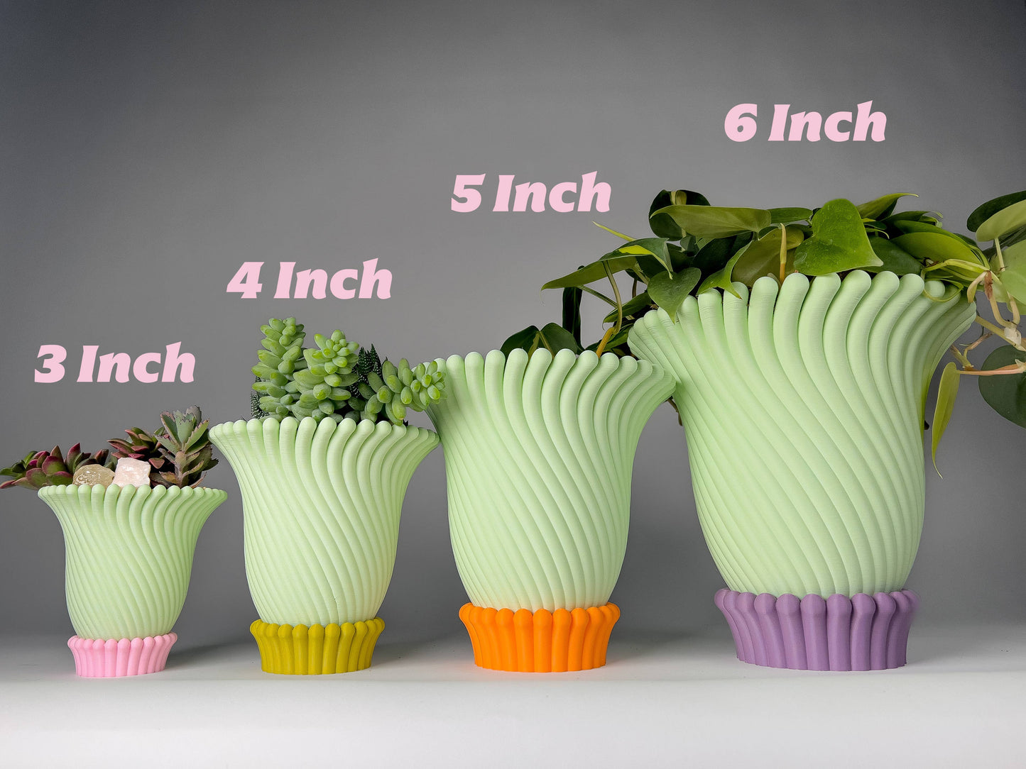 Anemone Planters - 5 and 6 Inch (6 Beautiful Colors!)