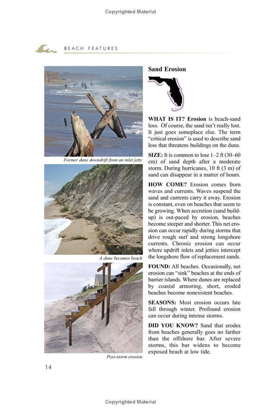 National Book Network - Florida's Living Beaches: A Guide