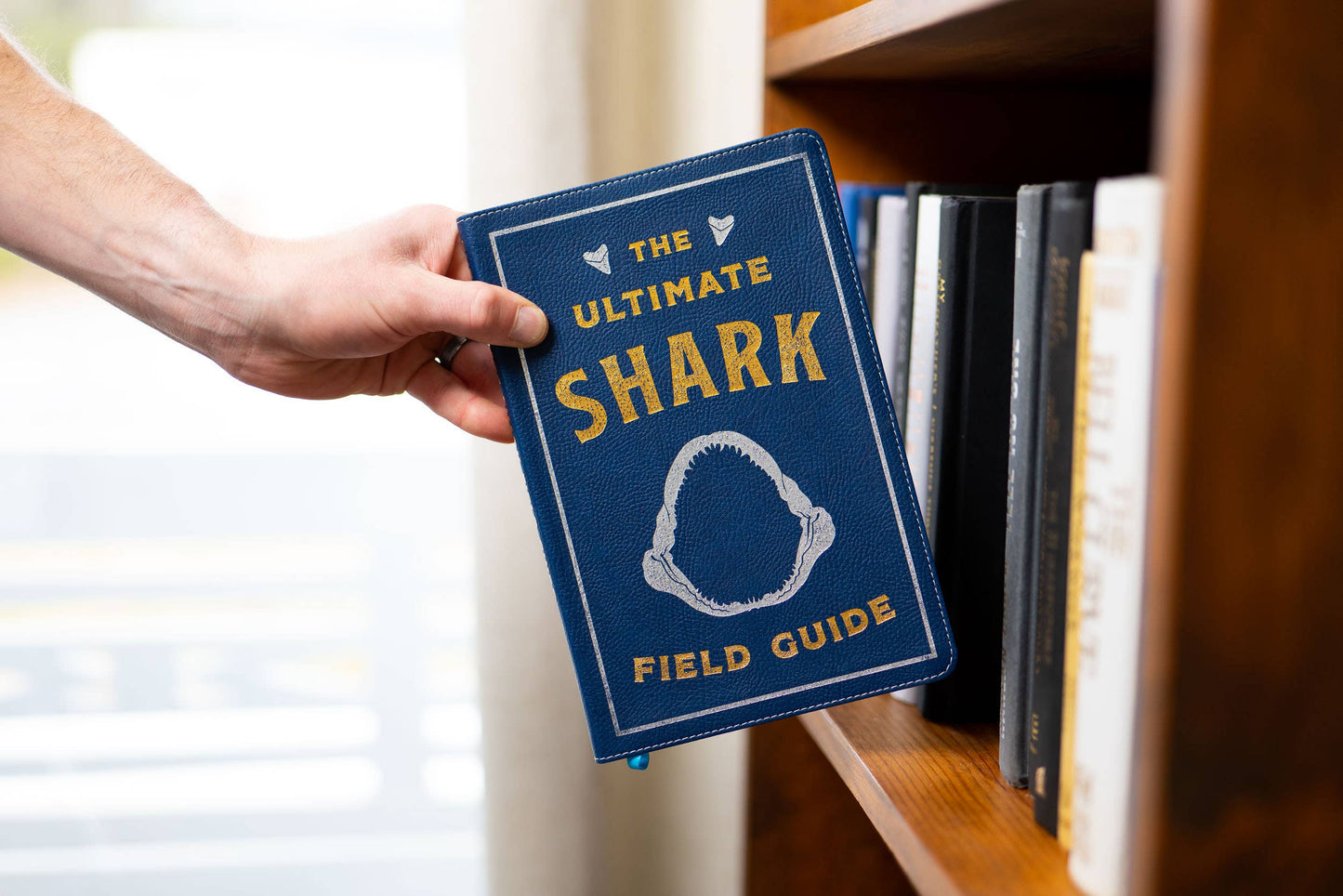 HarperCollins Focus - Ultimate Shark Field Guide Illustrated by Csotonyi