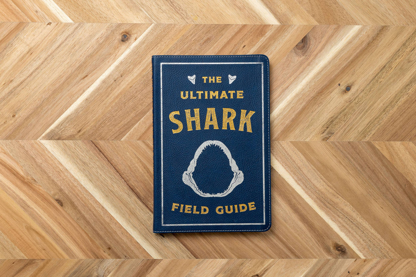 HarperCollins Focus - Ultimate Shark Field Guide Illustrated by Csotonyi