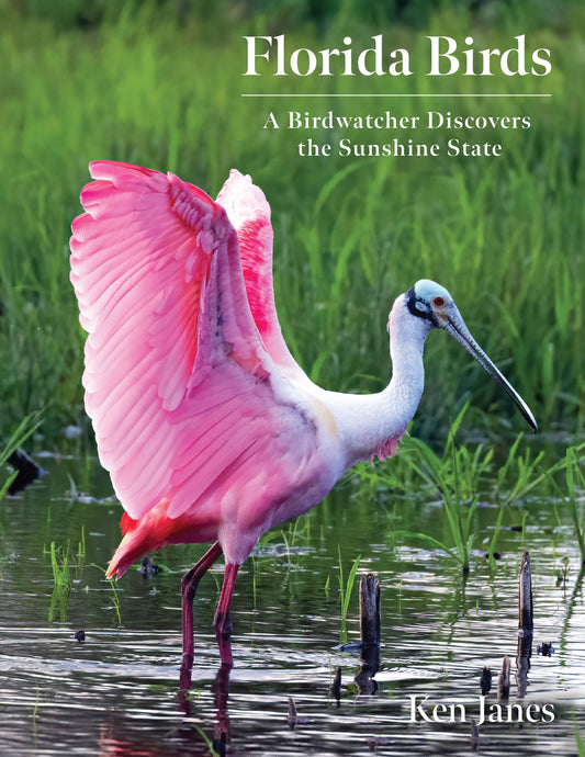 National Book Network - Florida Birds: A Birdwatcher Discovers the Sunshine State