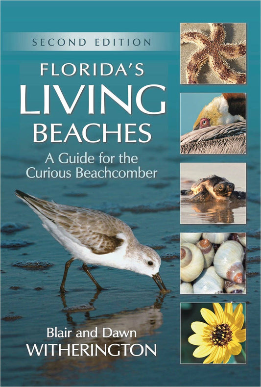 National Book Network - Florida's Living Beaches: A Guide