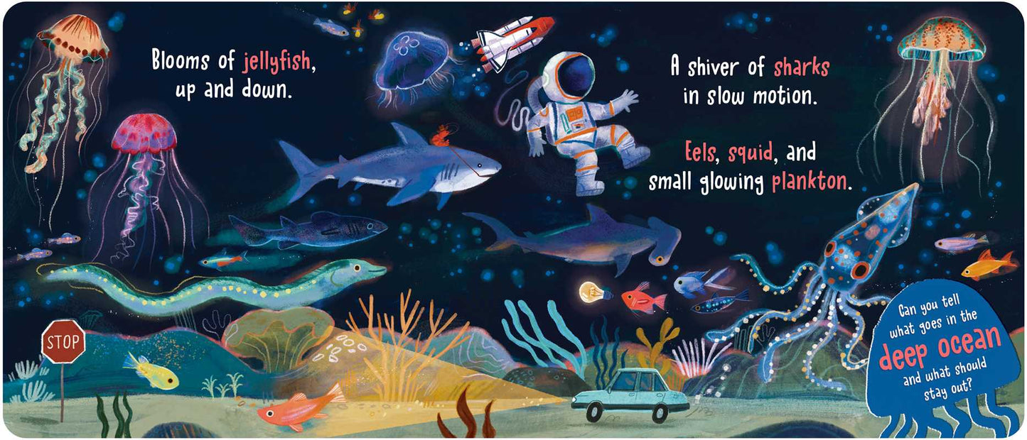 Simon & Schuster - What Goes in the Ocean? by Dori Elys