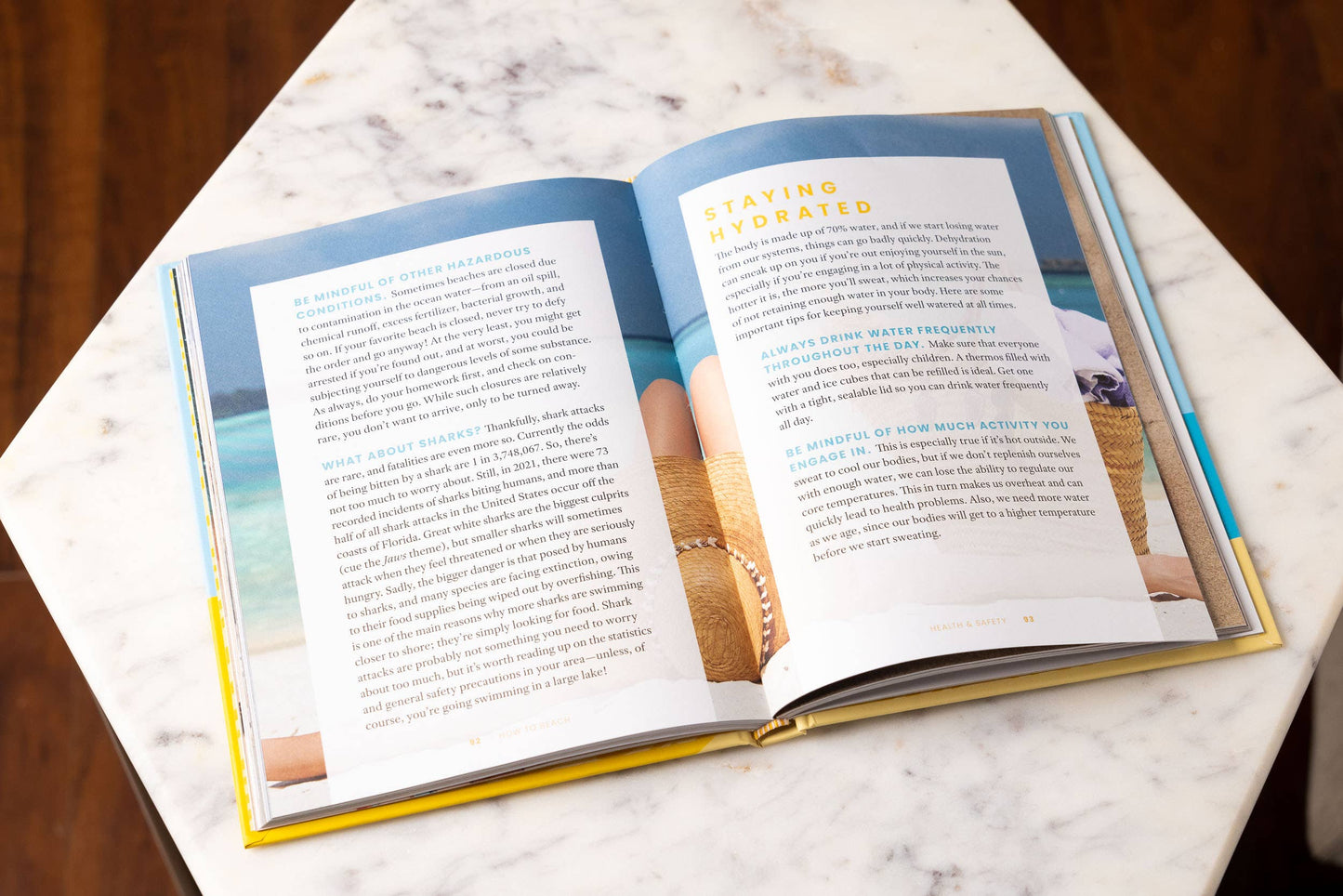 HarperCollins Focus - How to Beach: The Professional Beachgoer's Guidebook