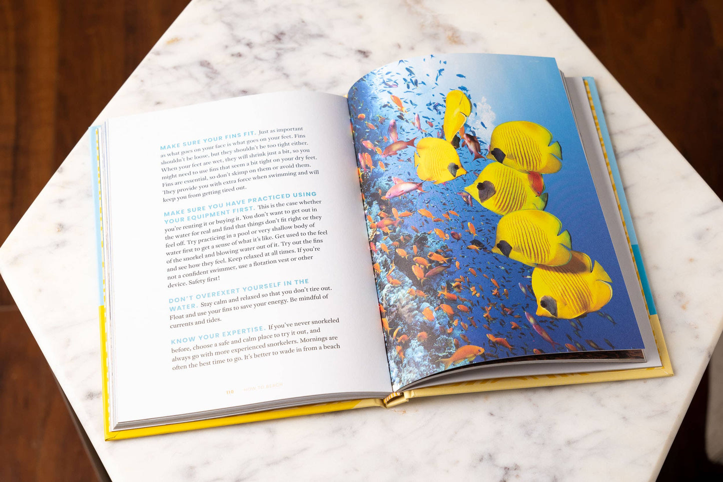 HarperCollins Focus - How to Beach: The Professional Beachgoer's Guidebook