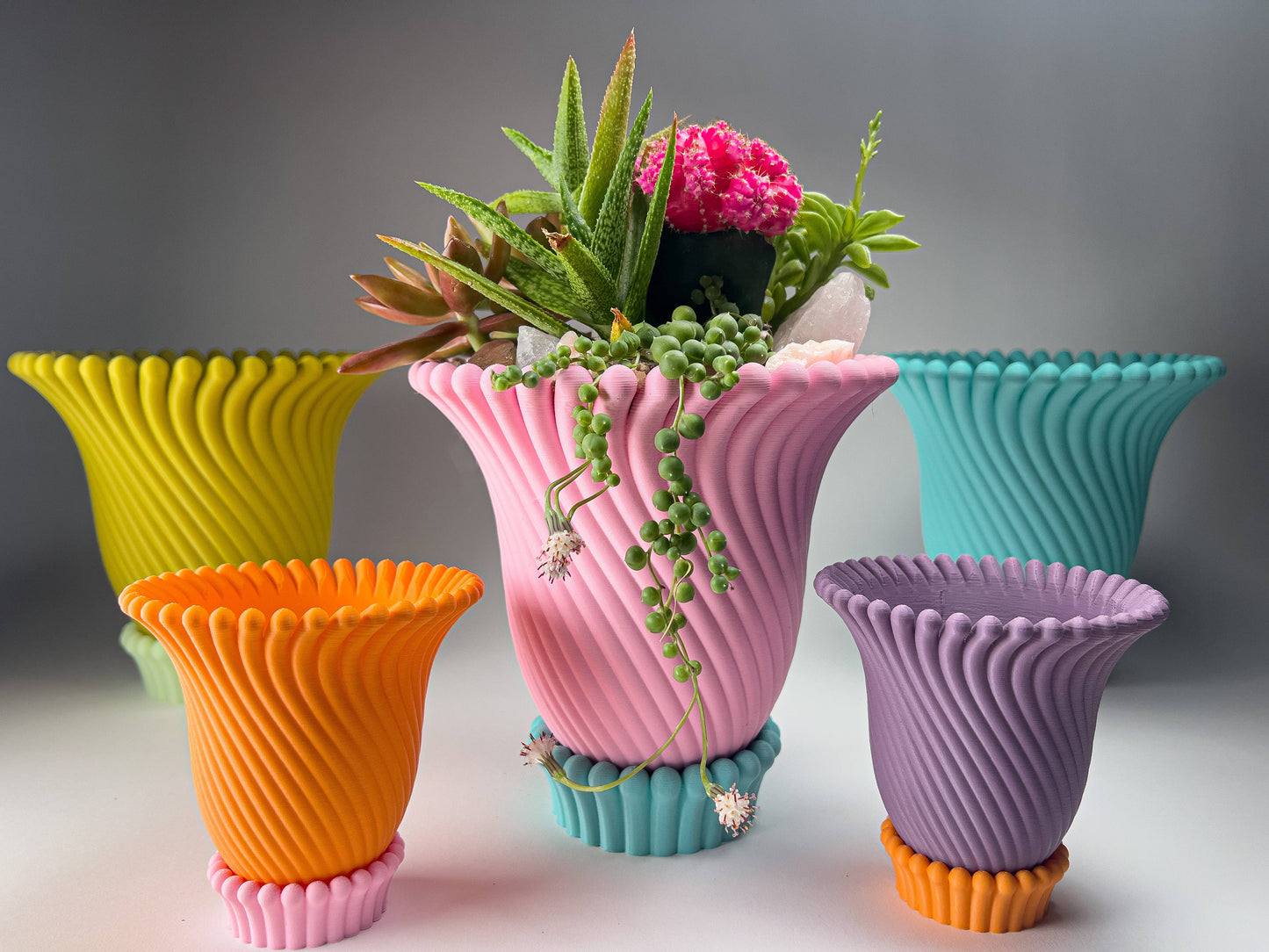 Anemone Planters - 5 and 6 Inch (6 Beautiful Colors!)